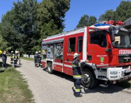 Einsatz: Brandverdacht-Rauchentwicklung (B1)